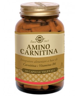 Amino Carnitina