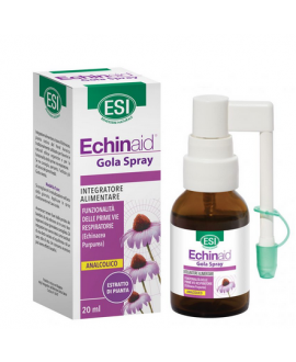 Echinaid gola spray